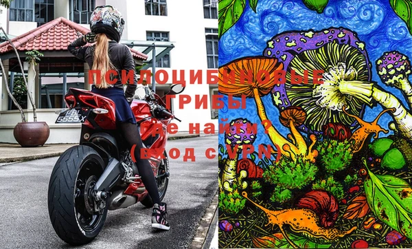 мяу мяу мука Белоозёрский
