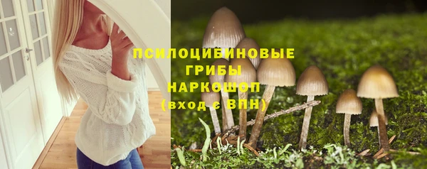 круглые Белокуриха