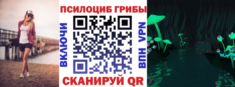 Галлюциногенные грибы Magic Shrooms  Болохово 